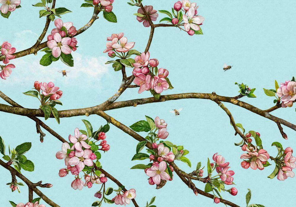 Beispielinhalt (Bild) Das große Buch vom Apfelbaum
