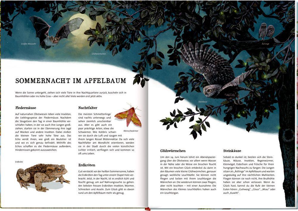 Beispielinhalt (Bild) Das große Buch vom Apfelbaum