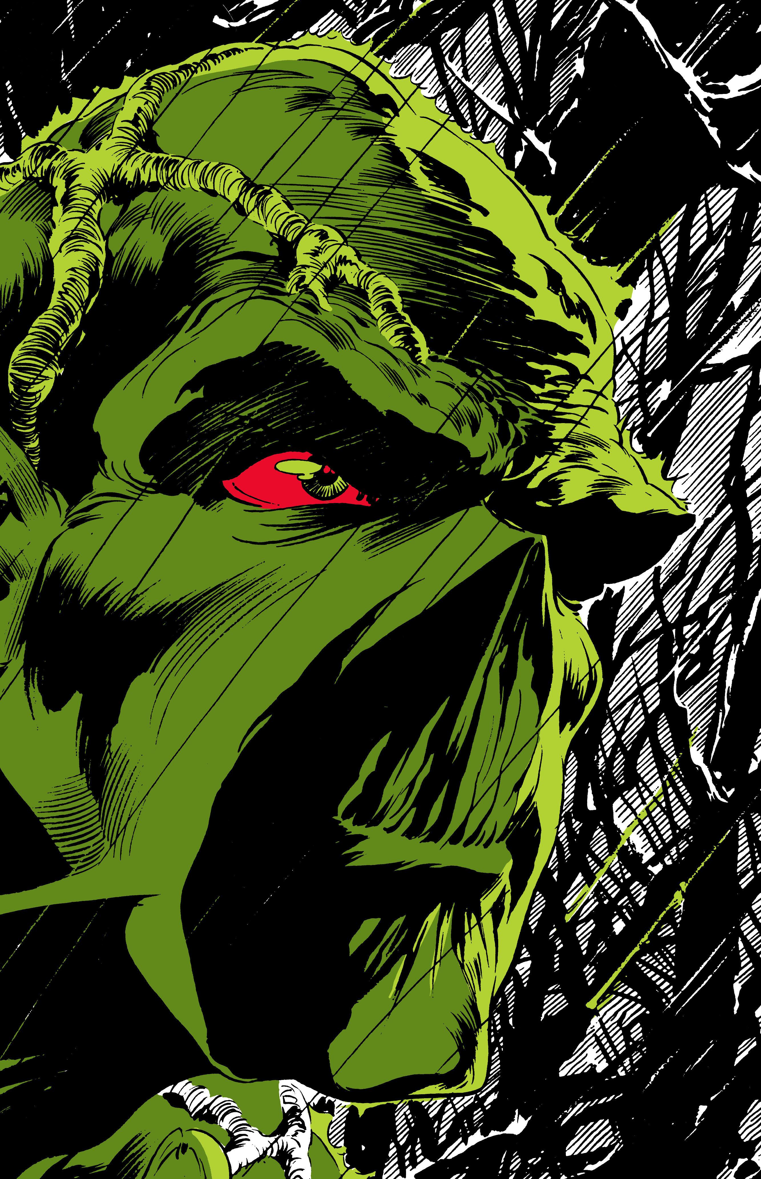 Vorderes Coverbild Absolute Swamp Thing by Len Wein and Bernie Wrightson