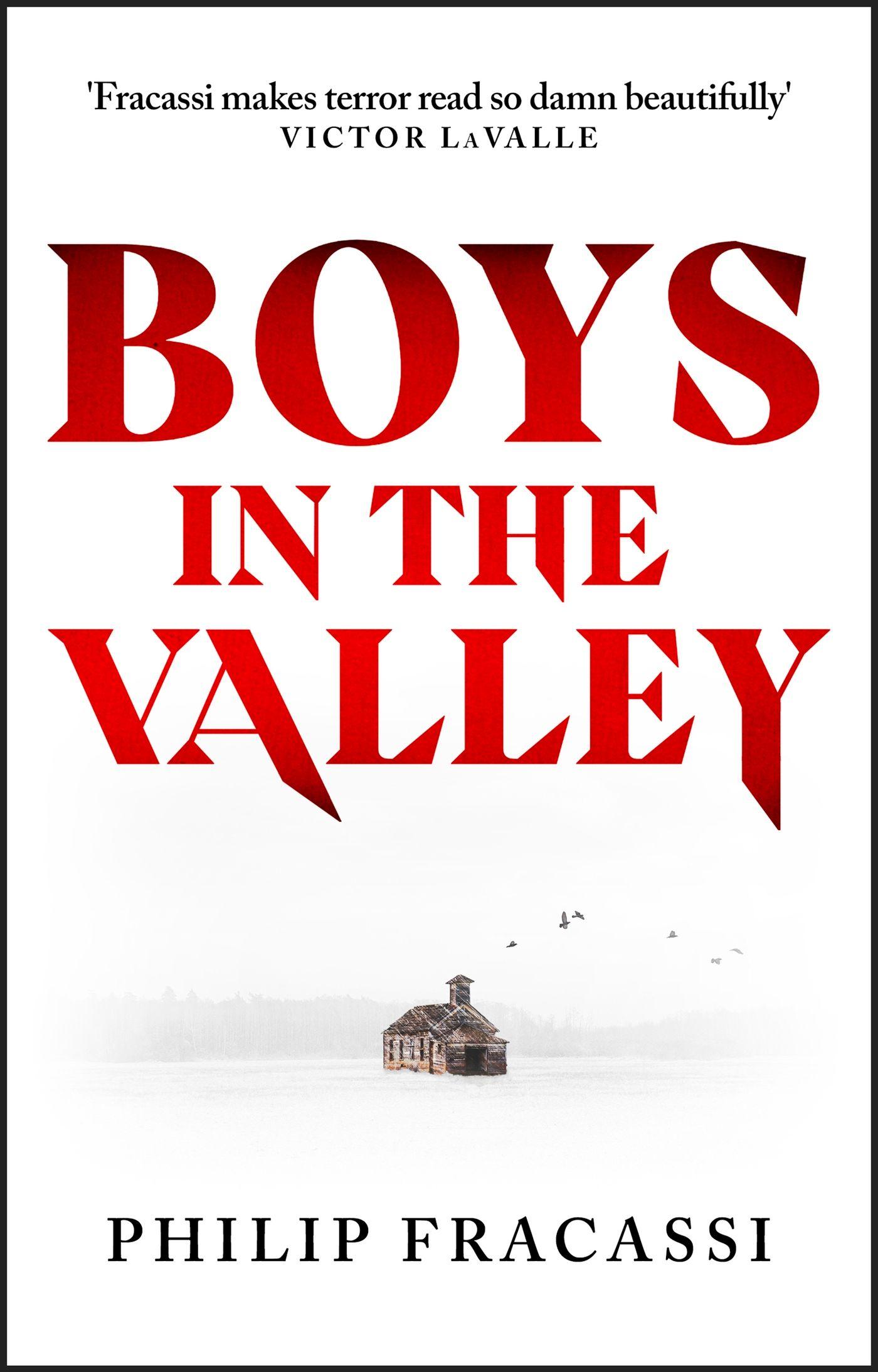 Vorderes Coverbild Boys in the Valley