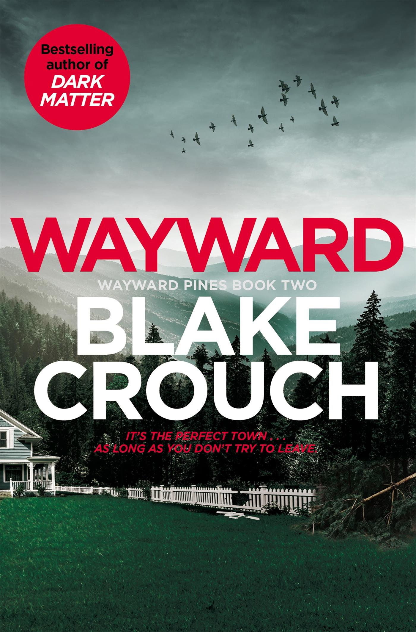 Vorderes Coverbild Wayward