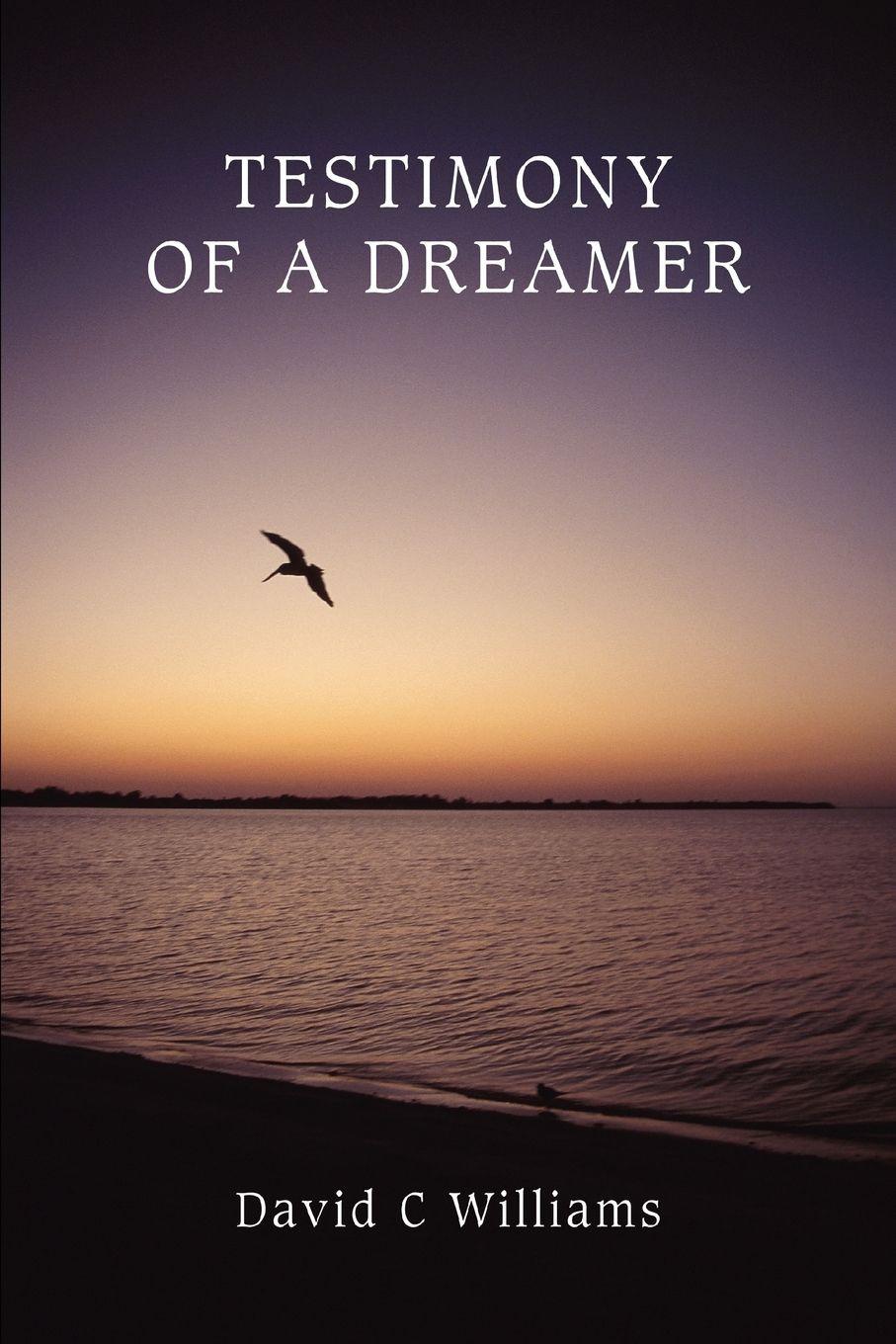 Vorderes Coverbild Testimony Of A Dreamer