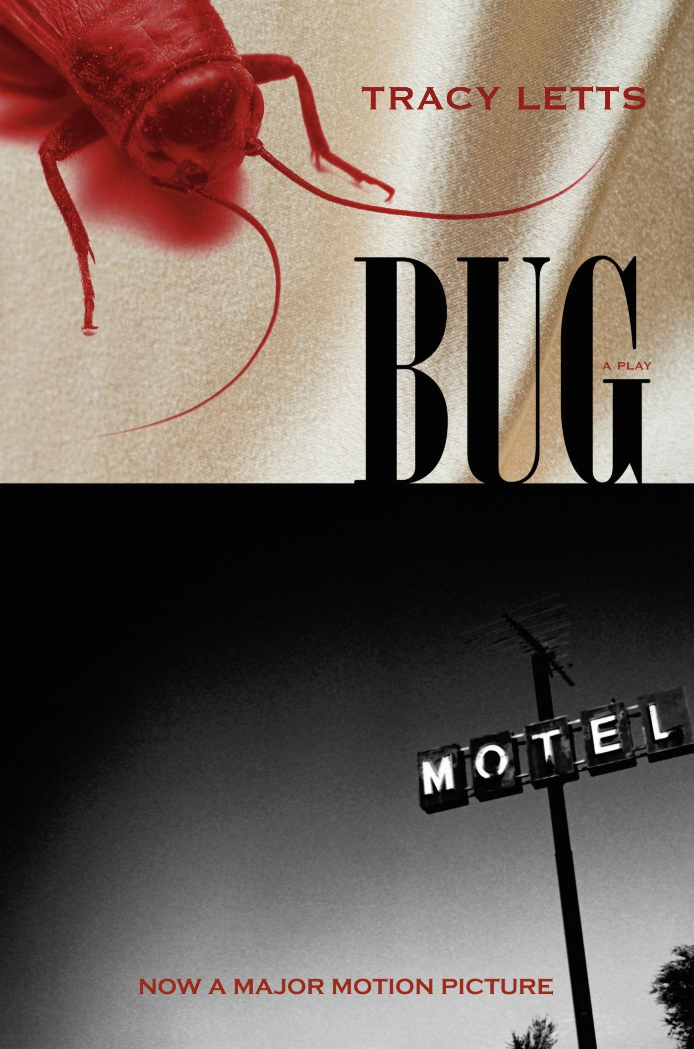 Vorderes Coverbild Bug