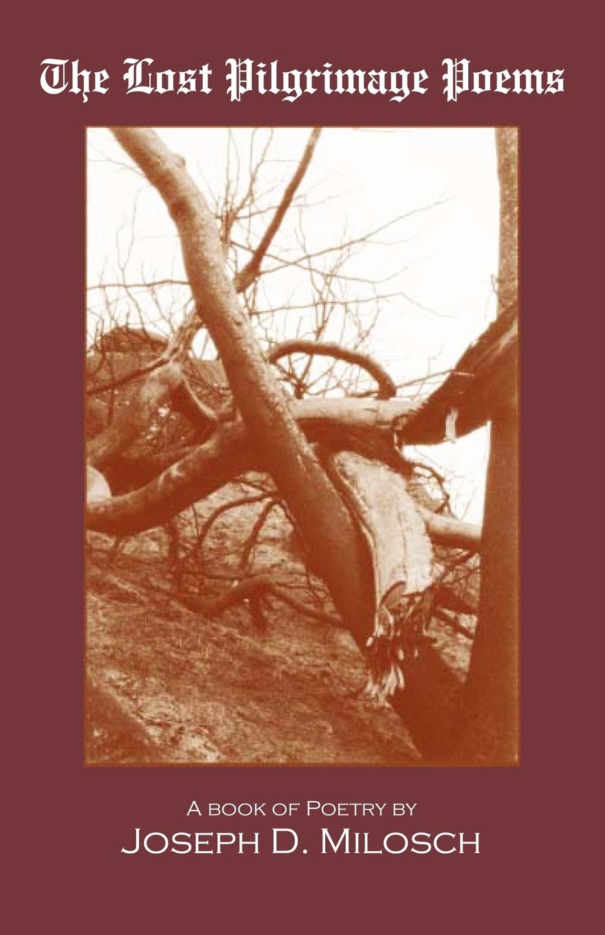 Vorderes Coverbild The Lost Pilgrimage Poems
