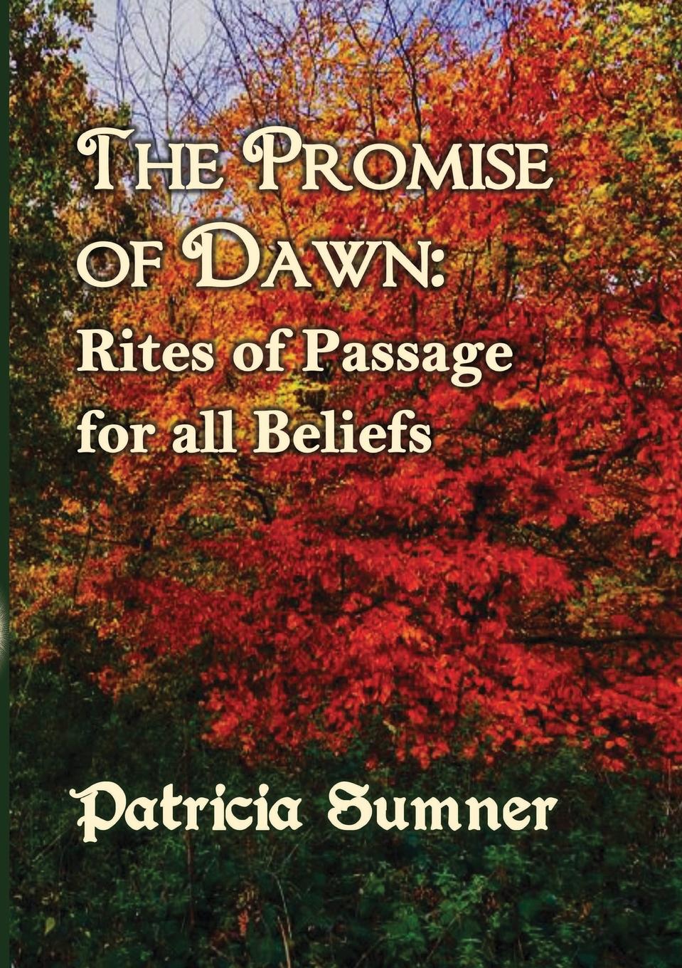 Vorderes Coverbild The Promise of Dawn