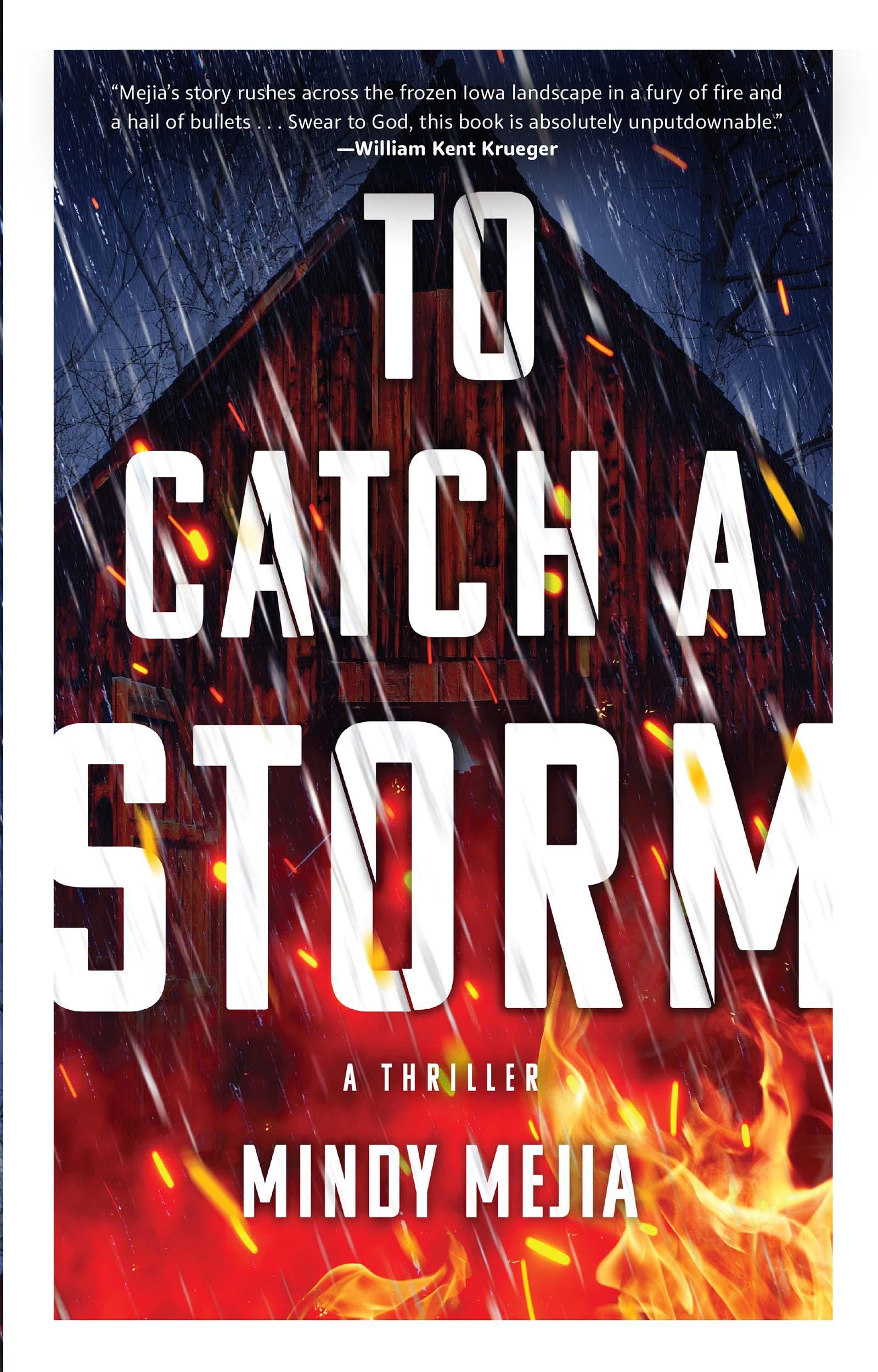 Vorderes Coverbild To Catch a Storm