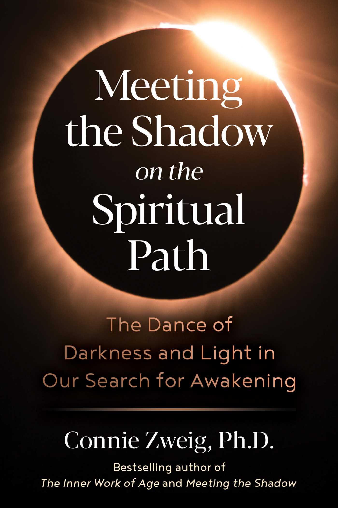 Vorderes Coverbild Meeting the Shadow on the Spiritual Path