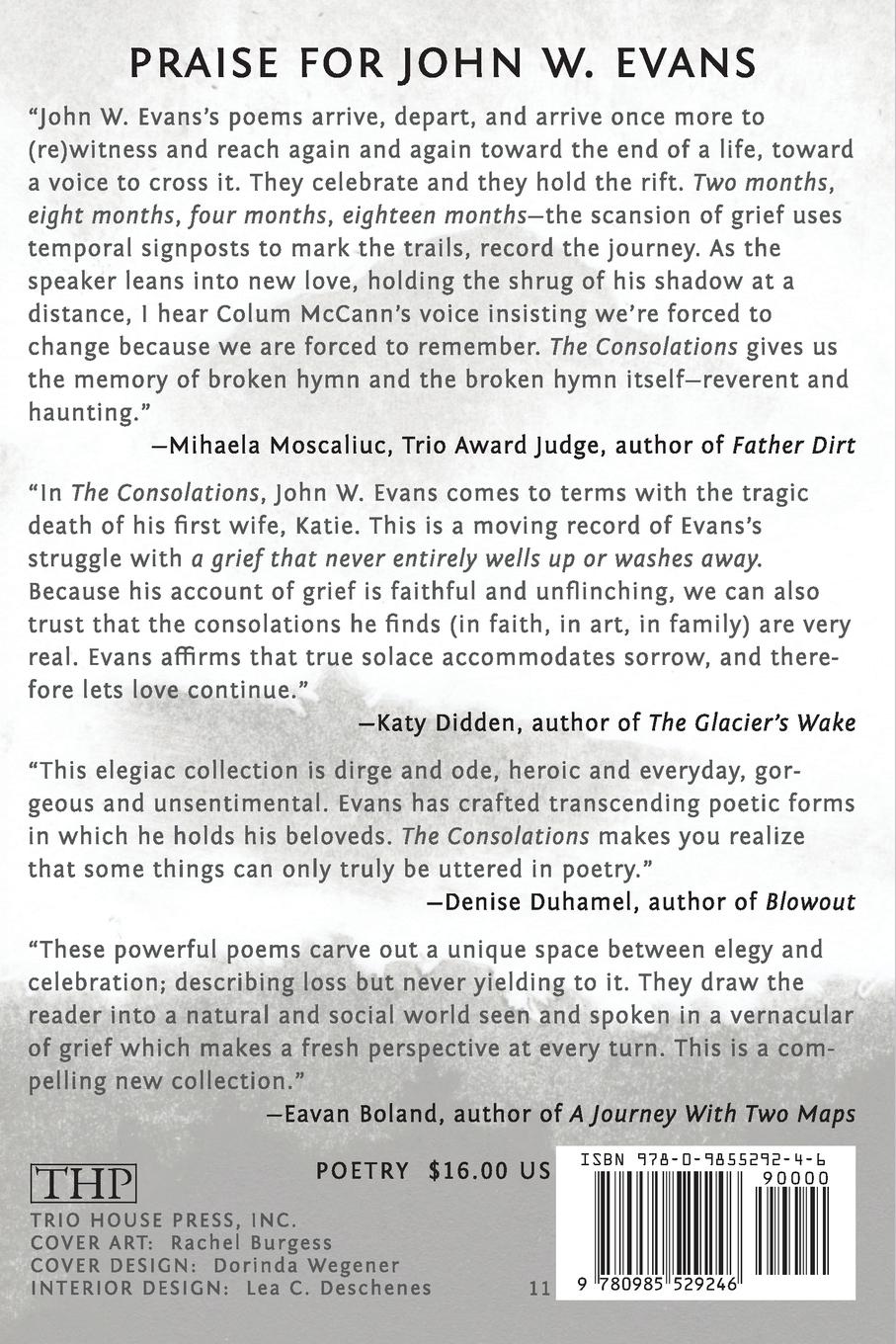 Rückseitencover The Consolations