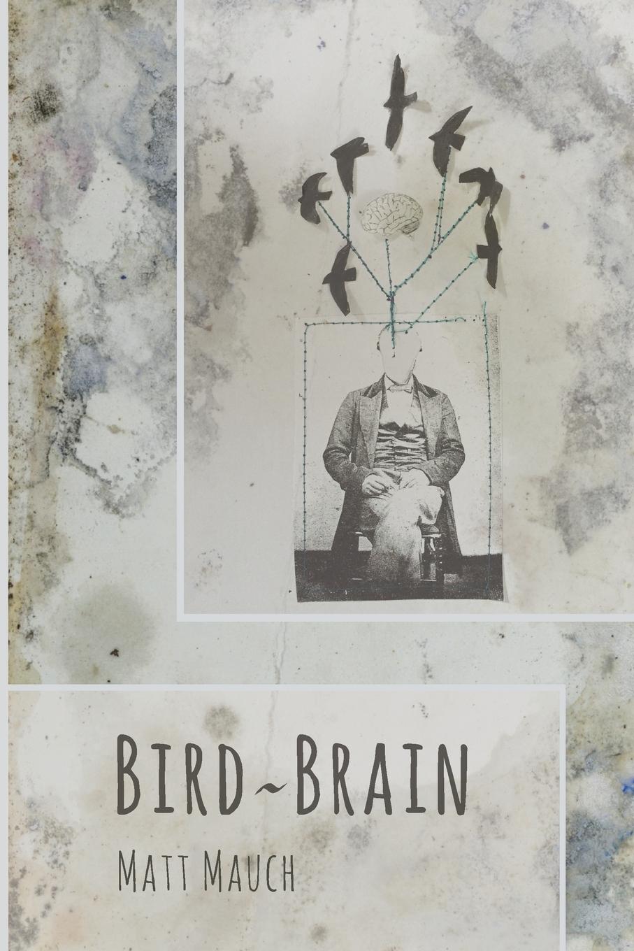 Vorderes Coverbild Bird~Brain