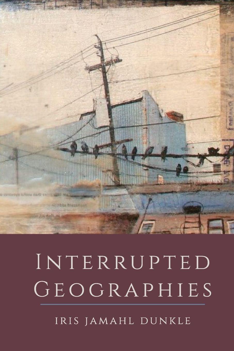 Vorderes Coverbild Interrupted Geographies