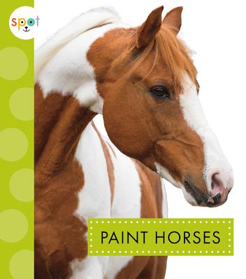 Vorderes Coverbild Paint Horses
