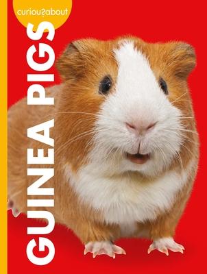 Vorderes Coverbild Curious about Guinea Pigs