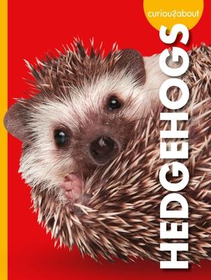 Vorderes Coverbild Curious about Hedgehogs