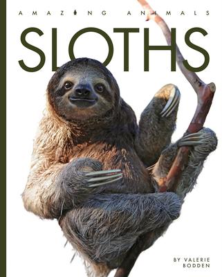 Vorderes Coverbild Sloths