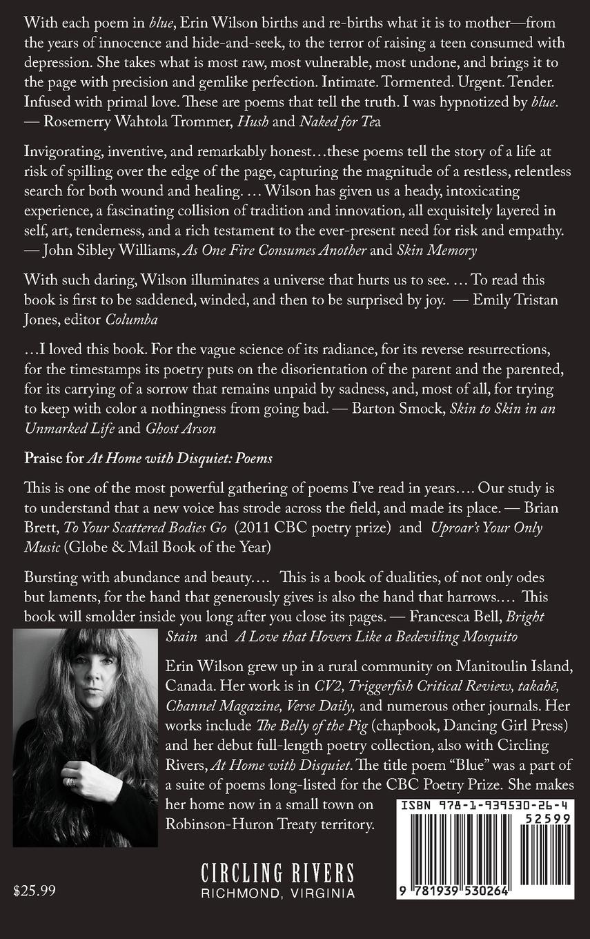 Rückseitencover Blue