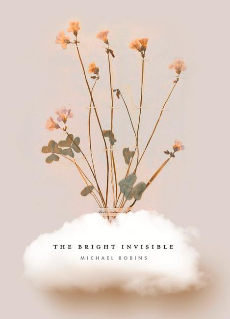 Vorderes Coverbild The Bright Invisible