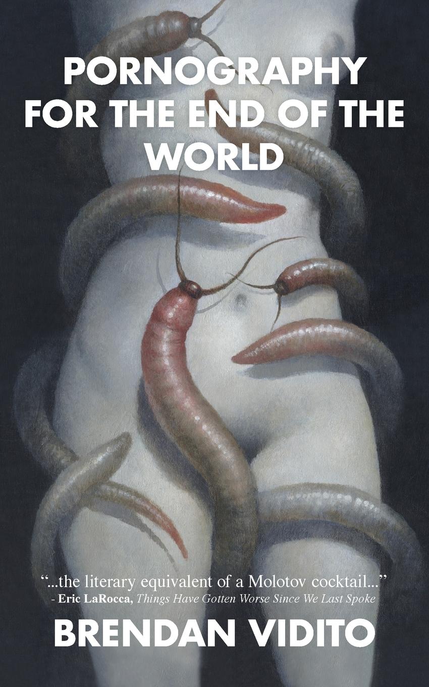 Vorderes Coverbild Pornography for the End of the World