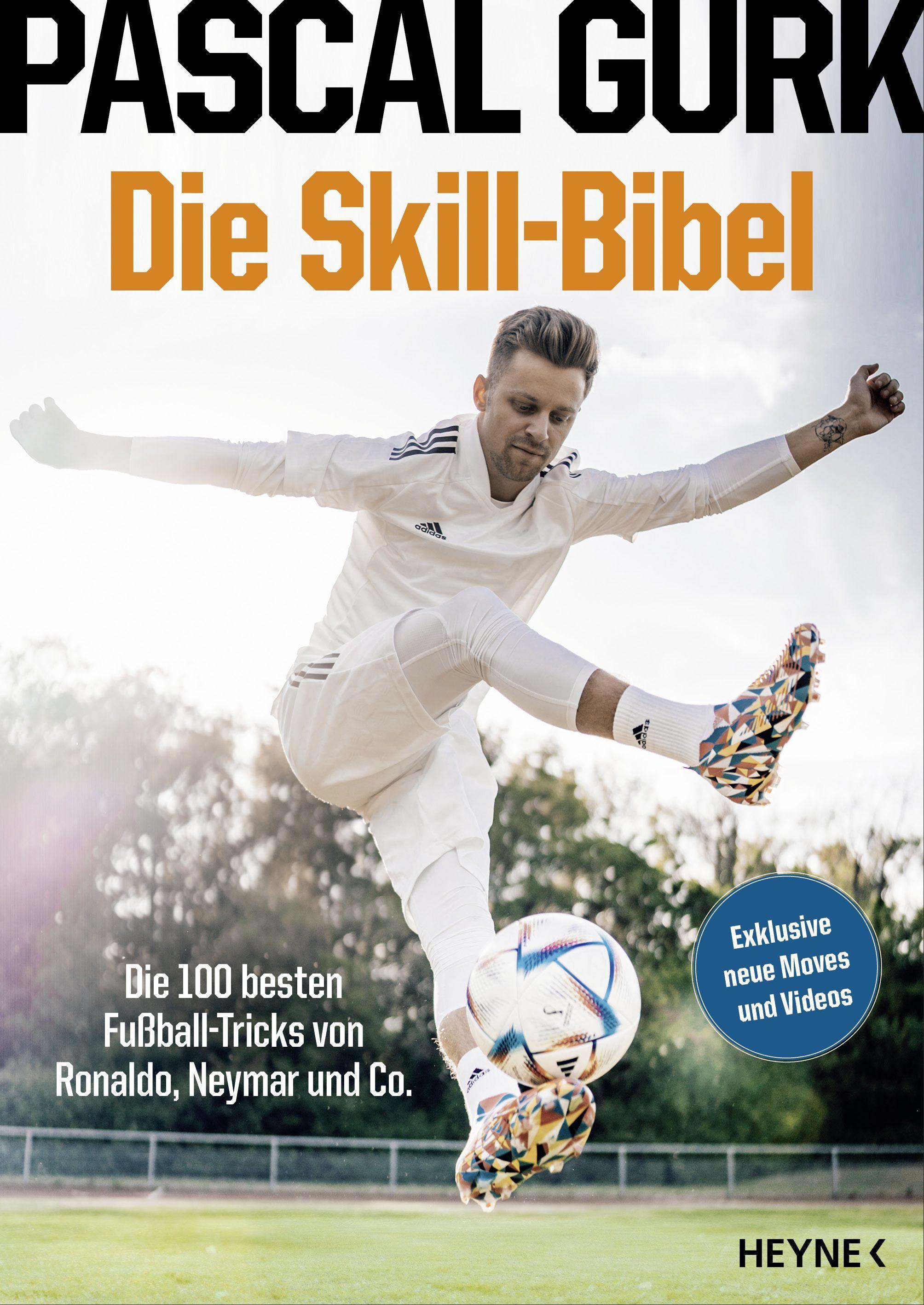 Vorderes Coverbild Die Skill-Bibel