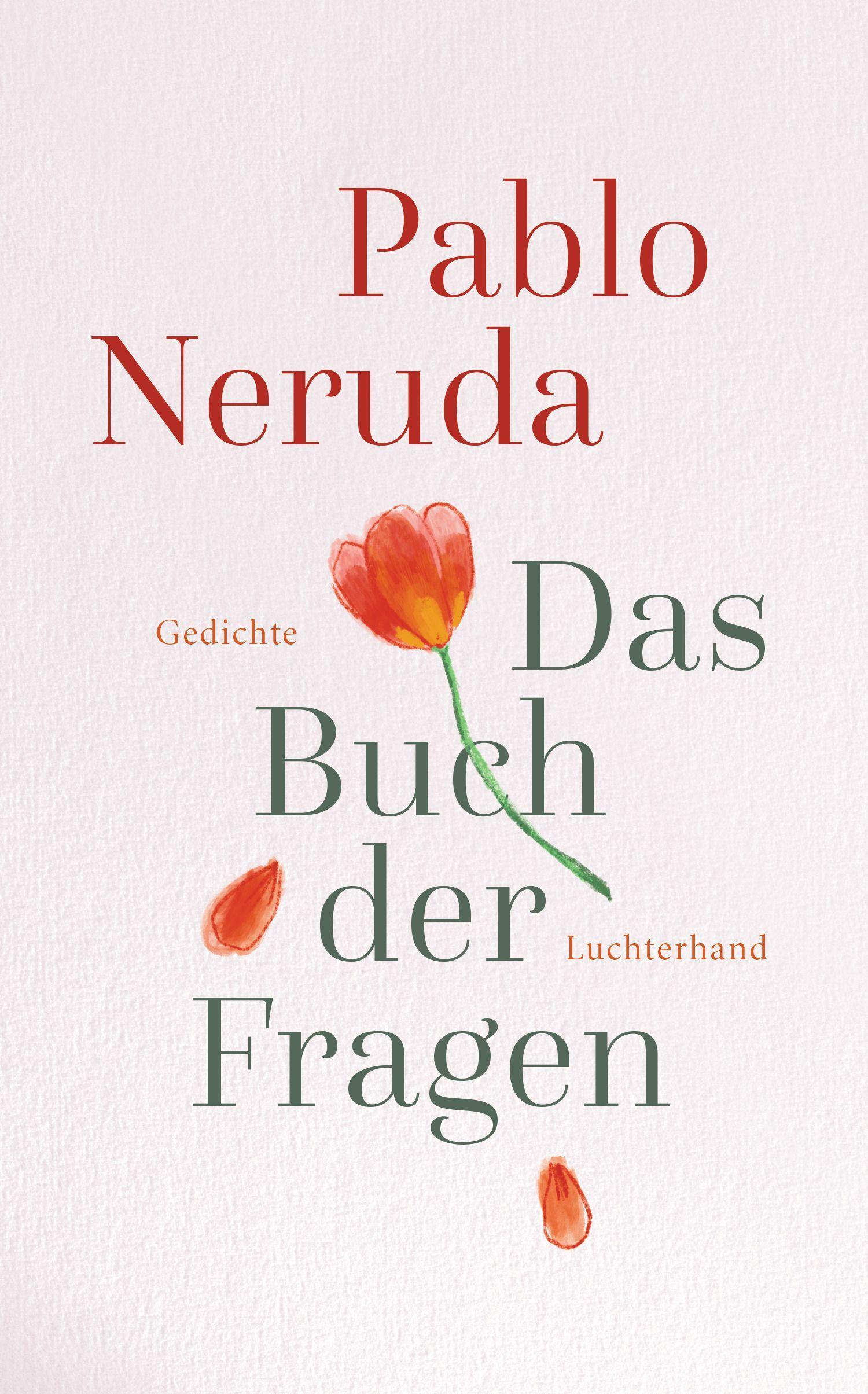 Vorderes Coverbild Das Buch der Fragen