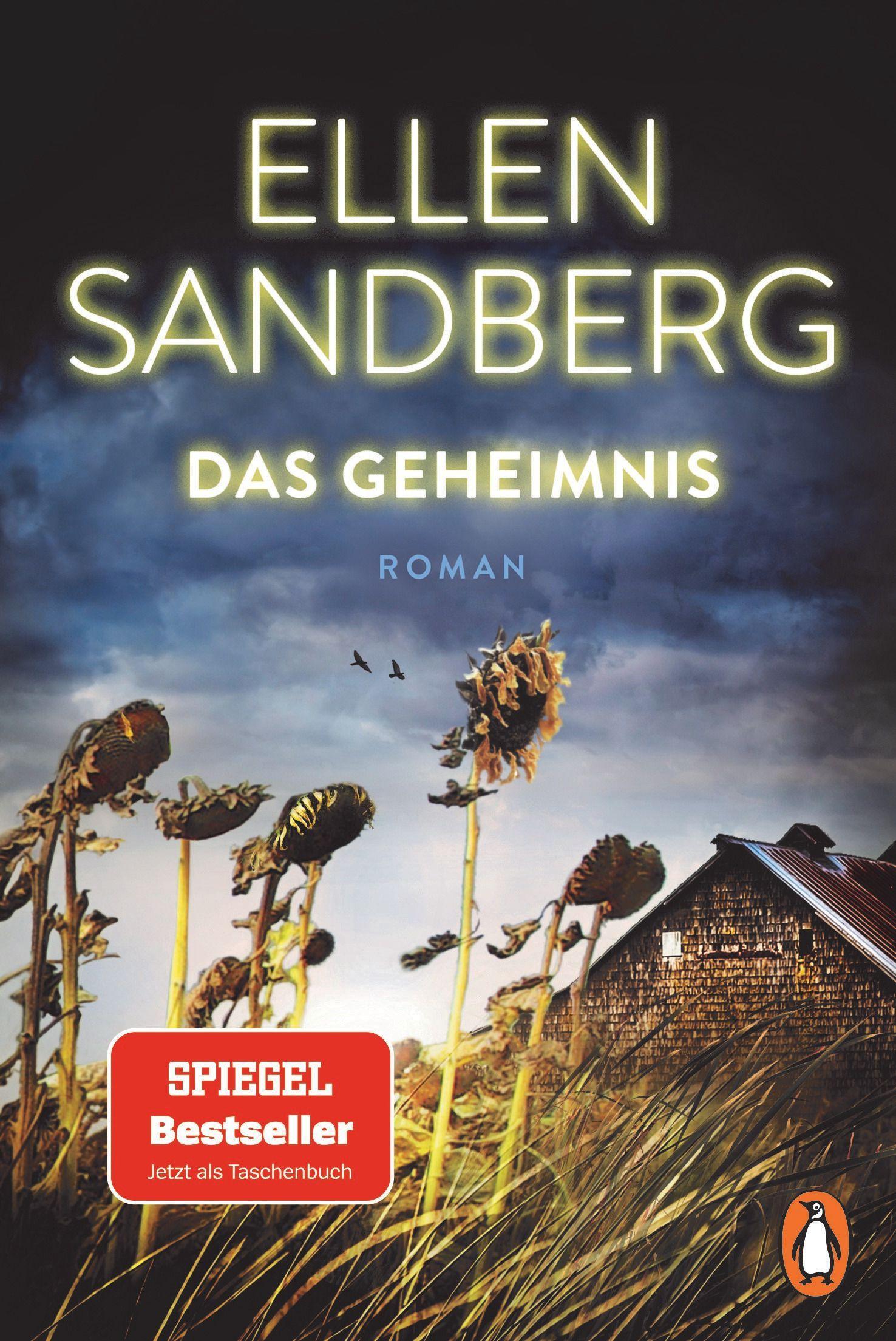 Vorderes Coverbild Das Geheimnis