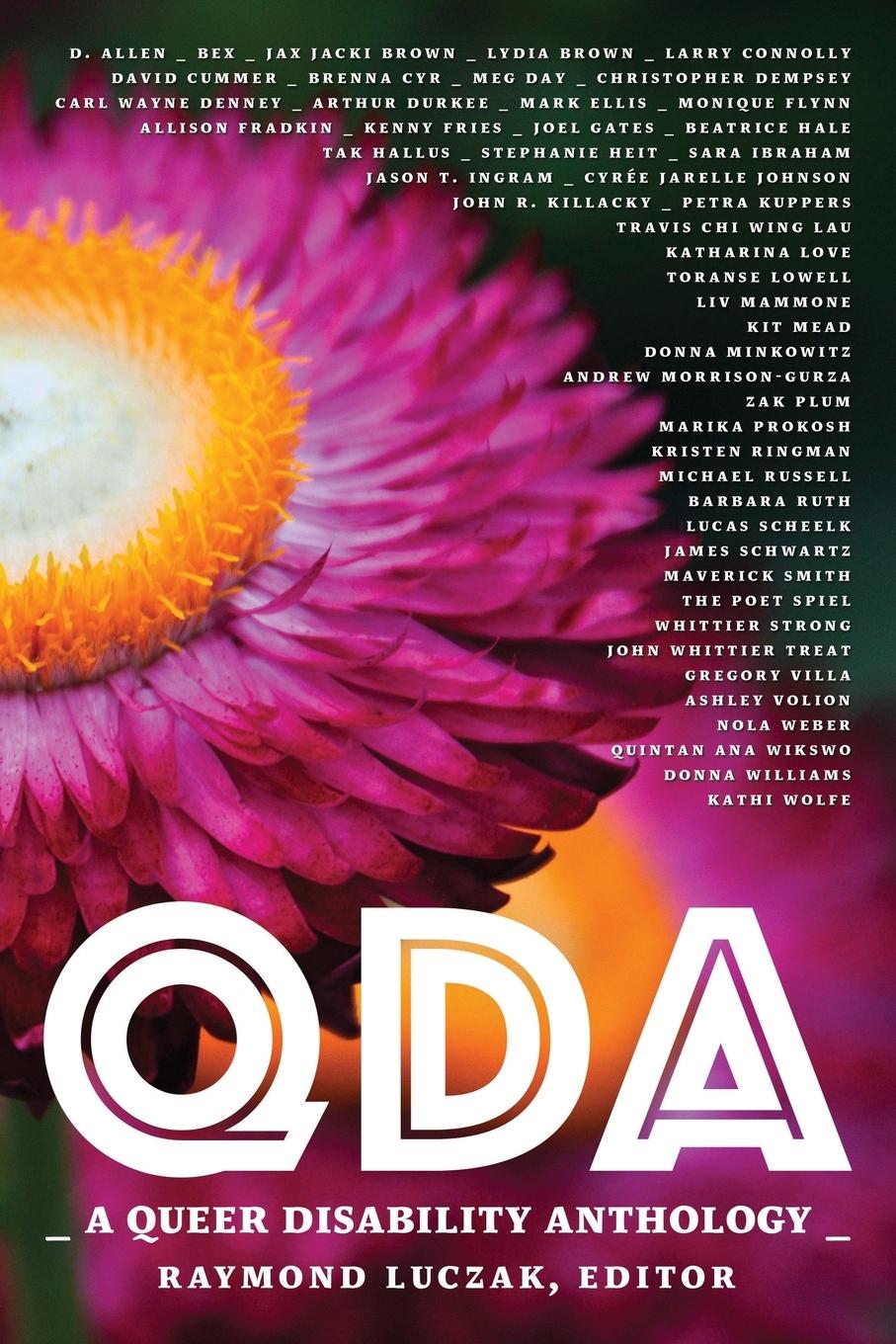 Vorderes Coverbild Qda