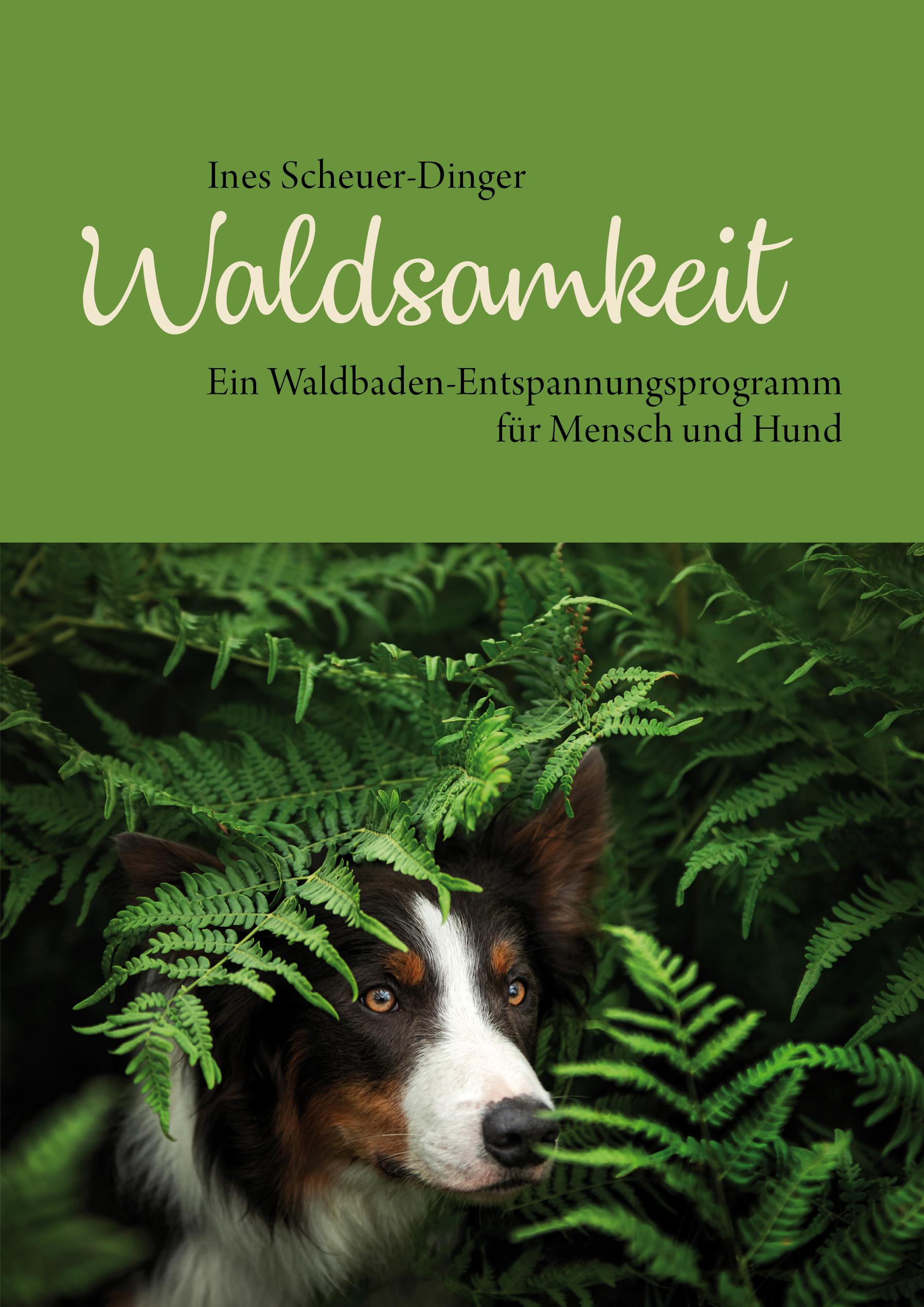 Vorderes Coverbild Waldsamkeit