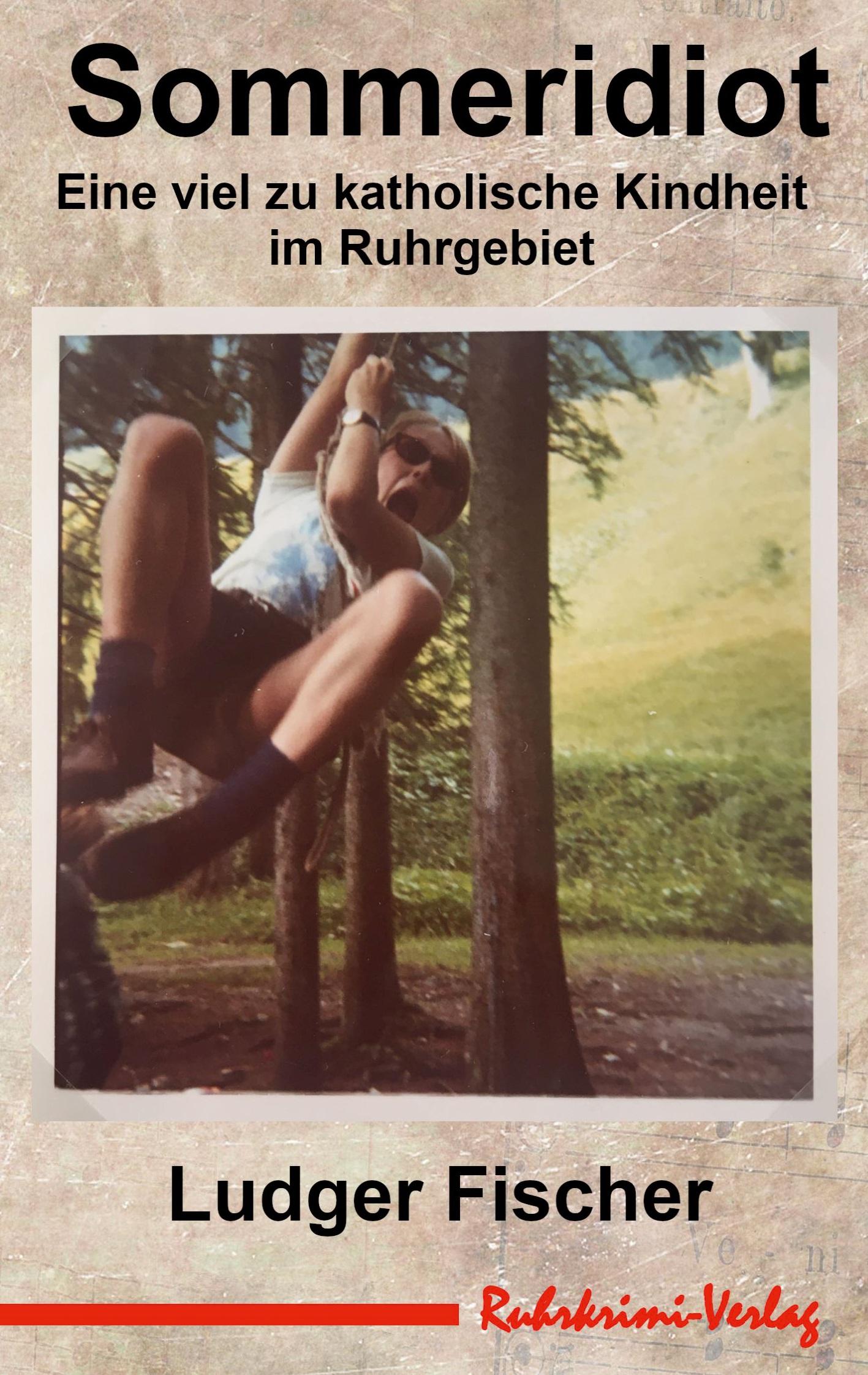 Vorderes Coverbild Sommeridiot