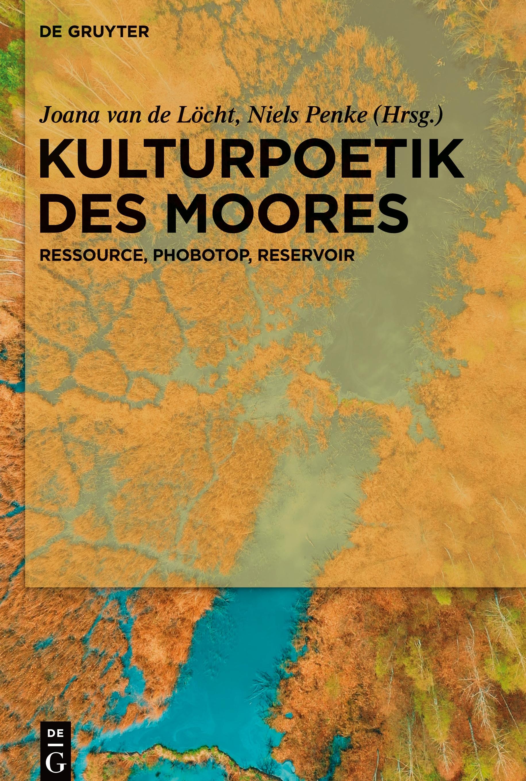 Vorderes Coverbild Kulturpoetik des Moores