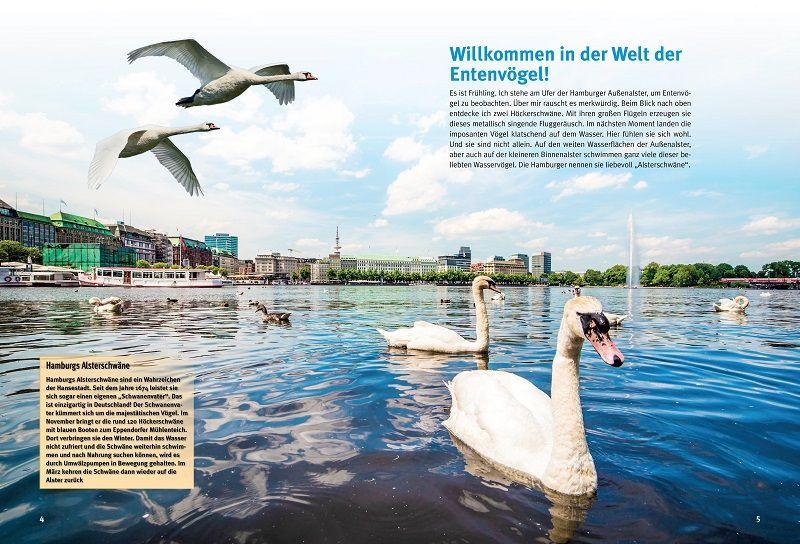 Beispielinhalt (Bild) Entdecke Schwäne, Gänse & Enten