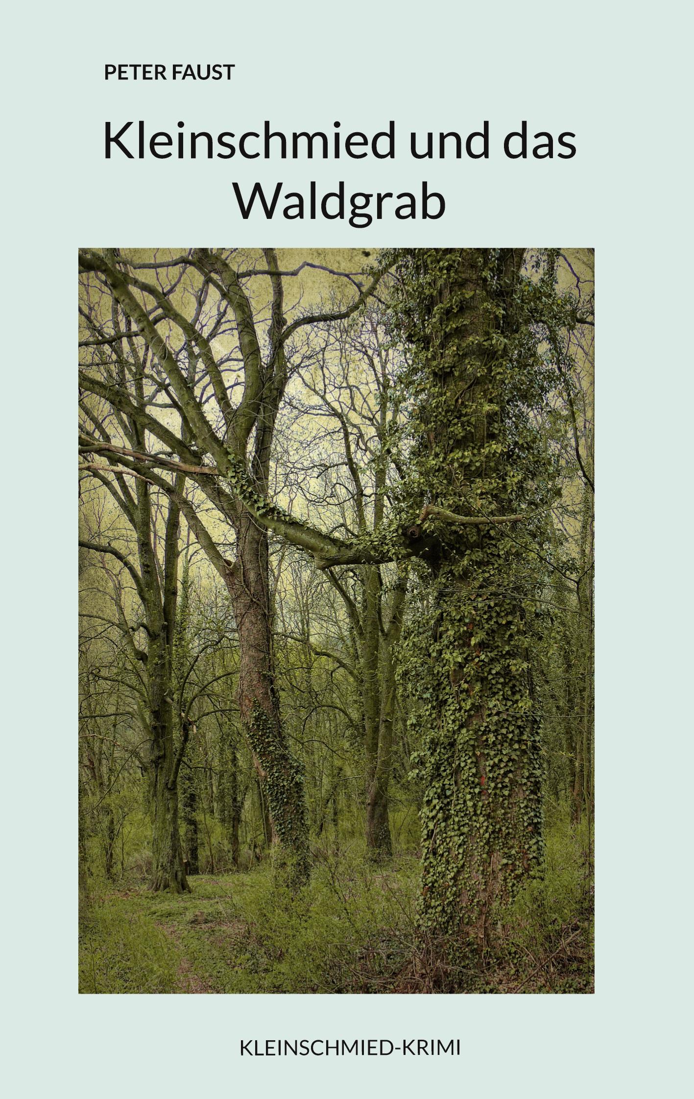 Vorderes Coverbild Kleinschmied und das Waldgrab