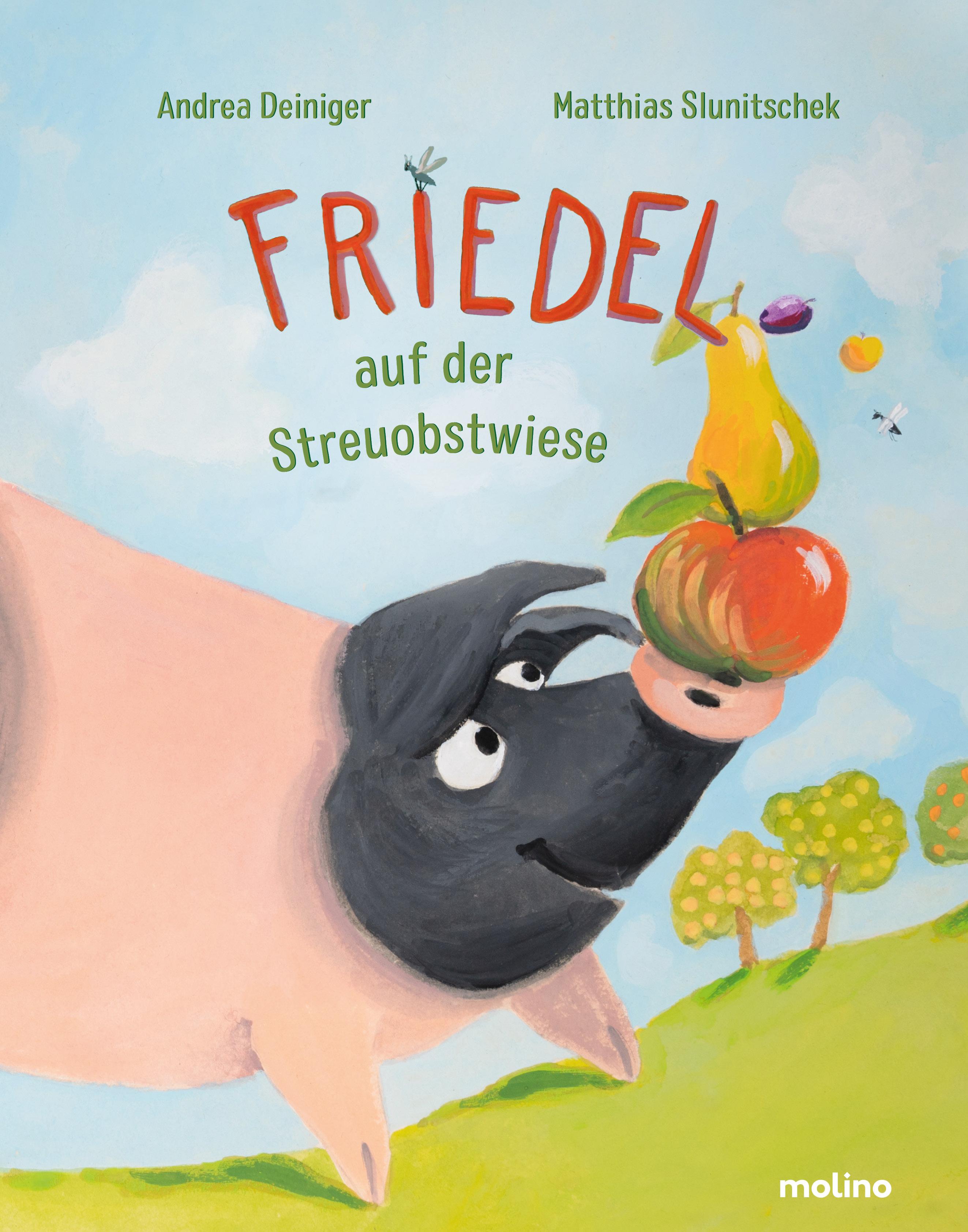 Vorderes Coverbild Friedel