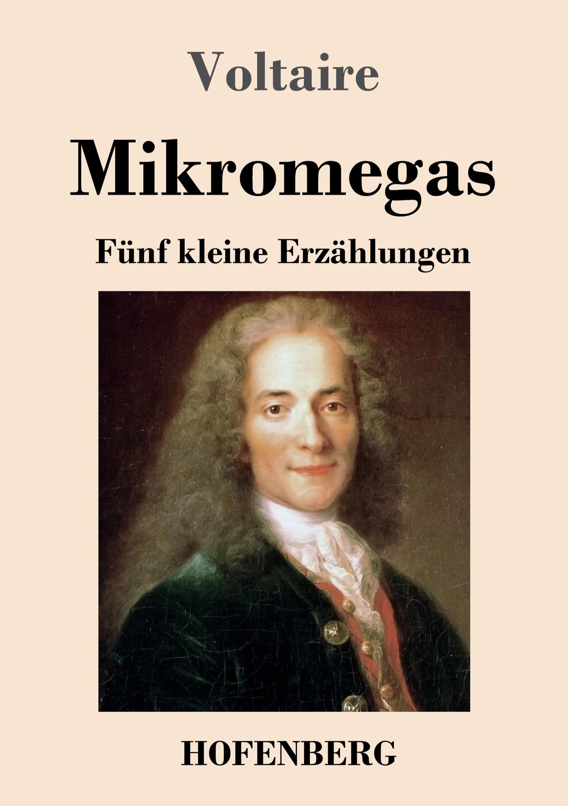 Vorderes Coverbild Mikromegas