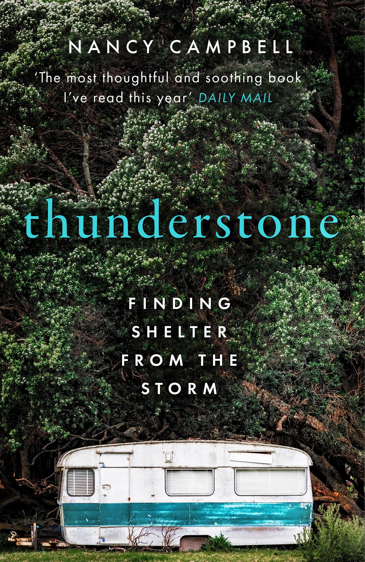 Vorderes Coverbild Thunderstone