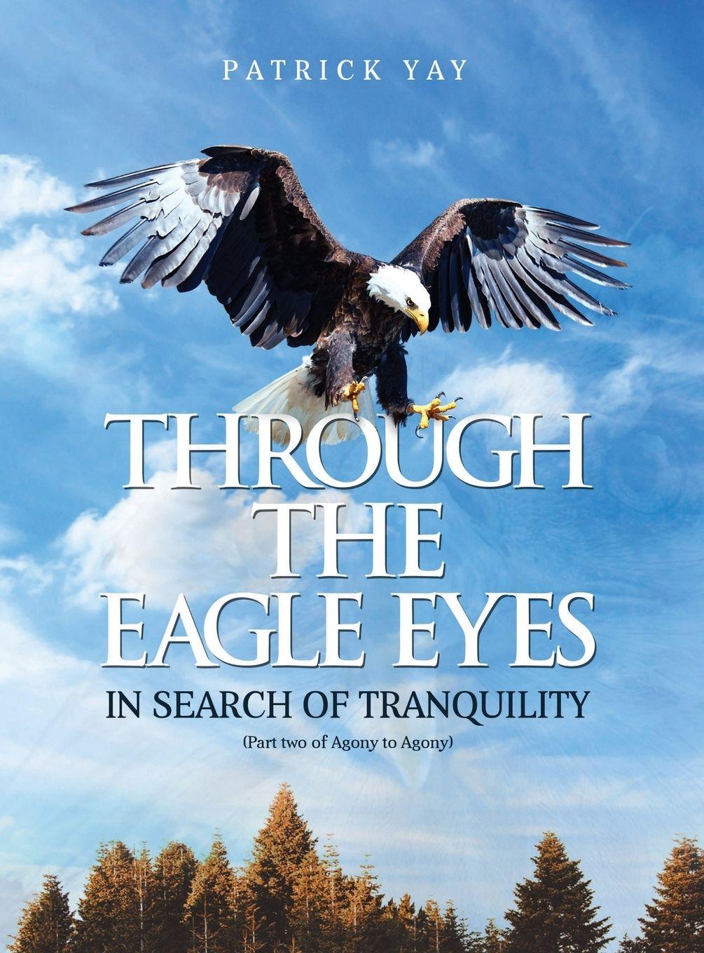 Vorderes Coverbild Through the Eagle Eyes