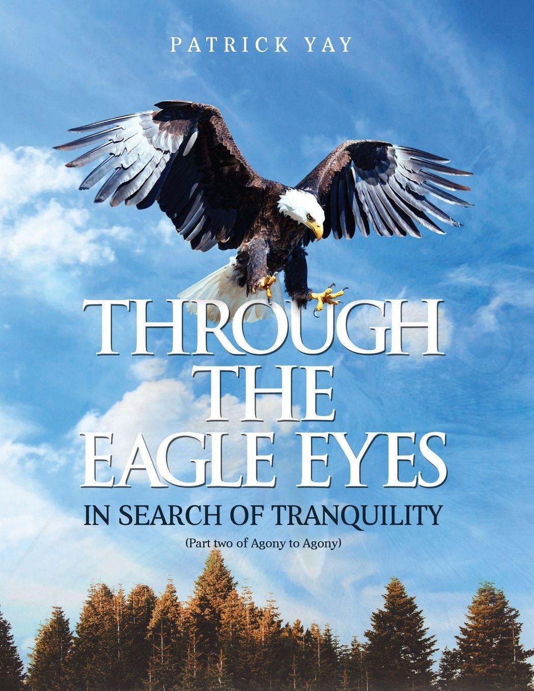 Vorderes Coverbild Through the Eagle Eyes