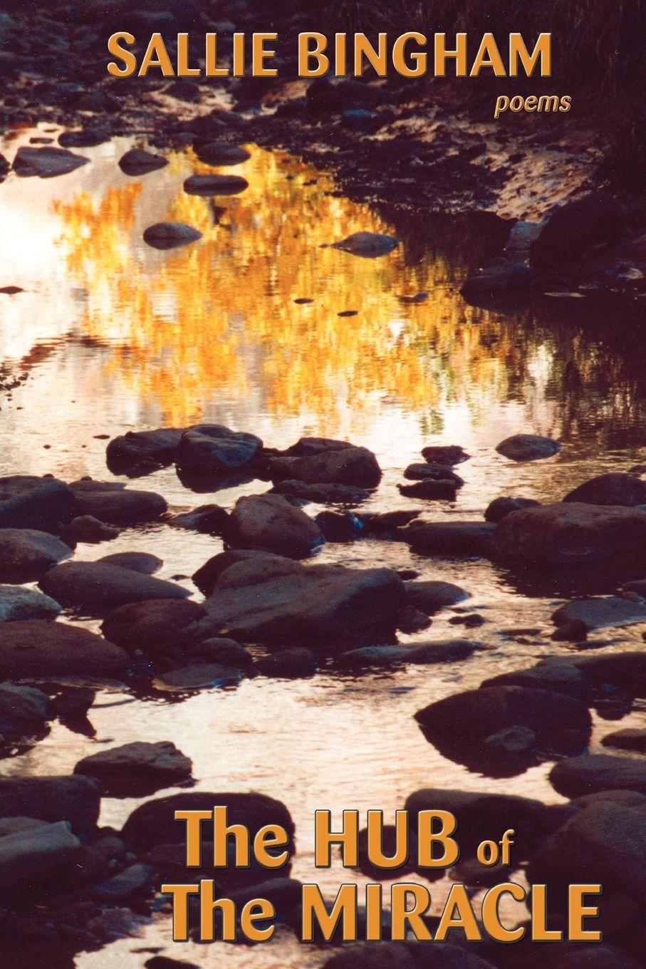 Vorderes Coverbild Hub of the Miracle