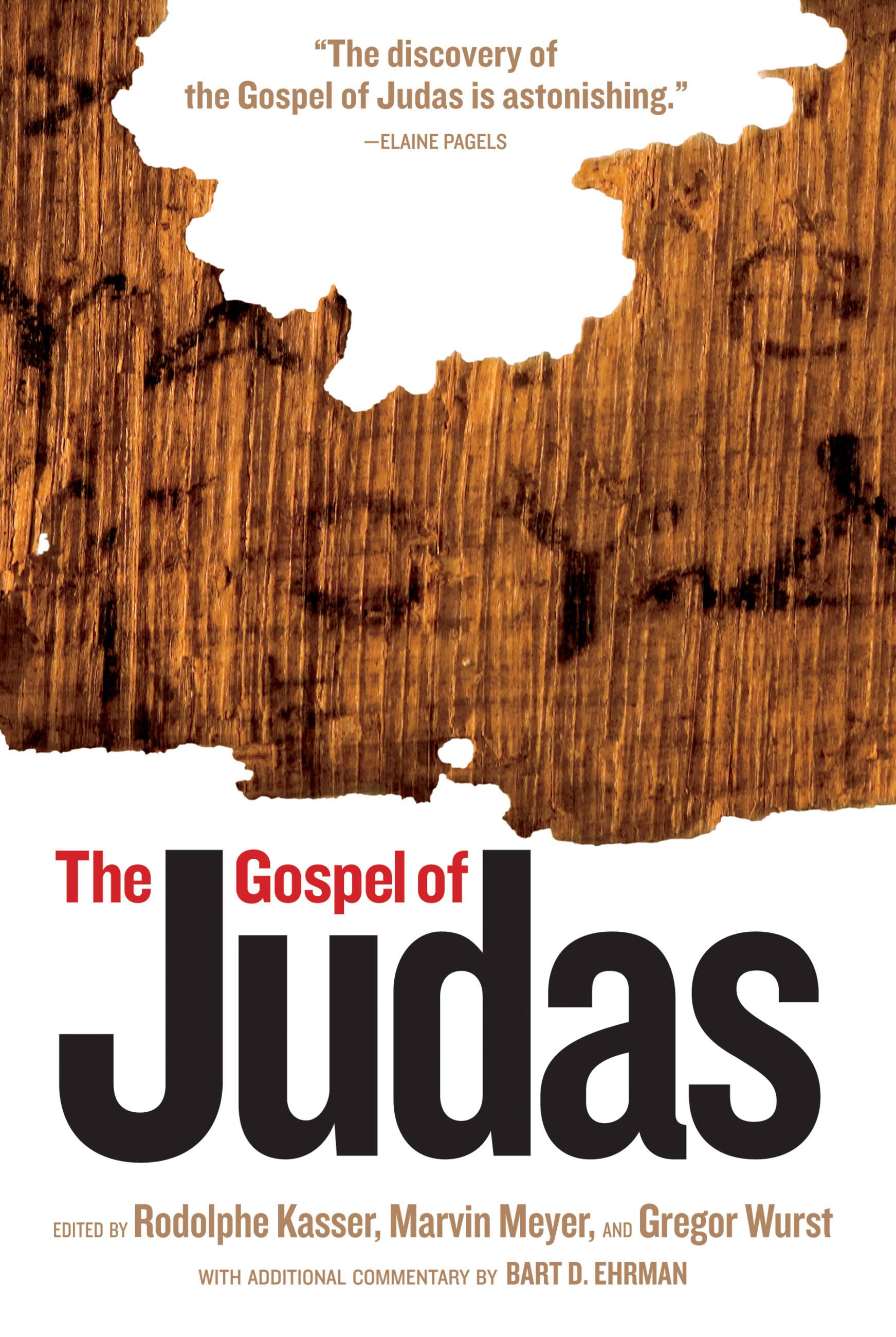 Vorderes Coverbild The Gospel of Judas