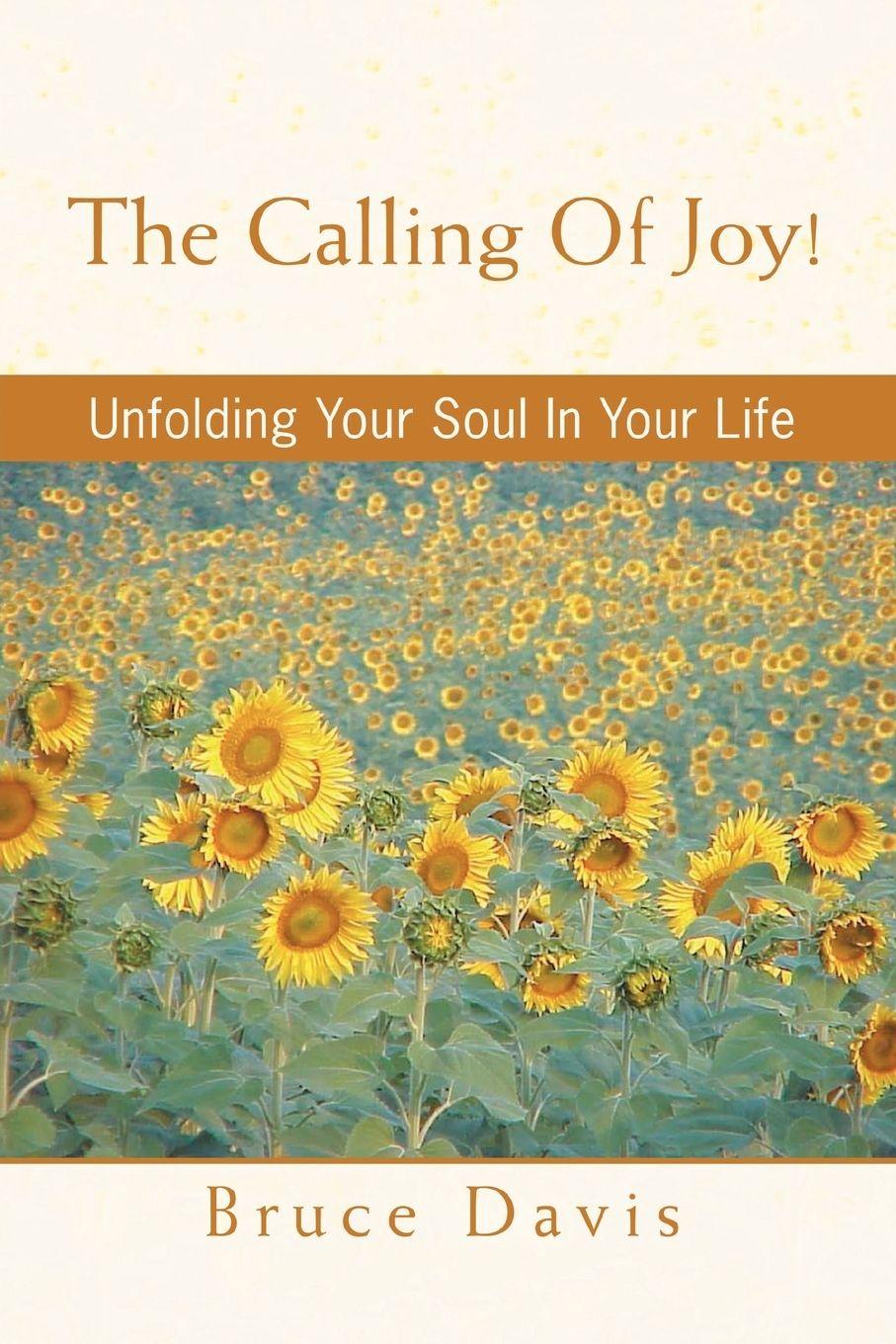 Vorderes Coverbild The Calling of Joy!