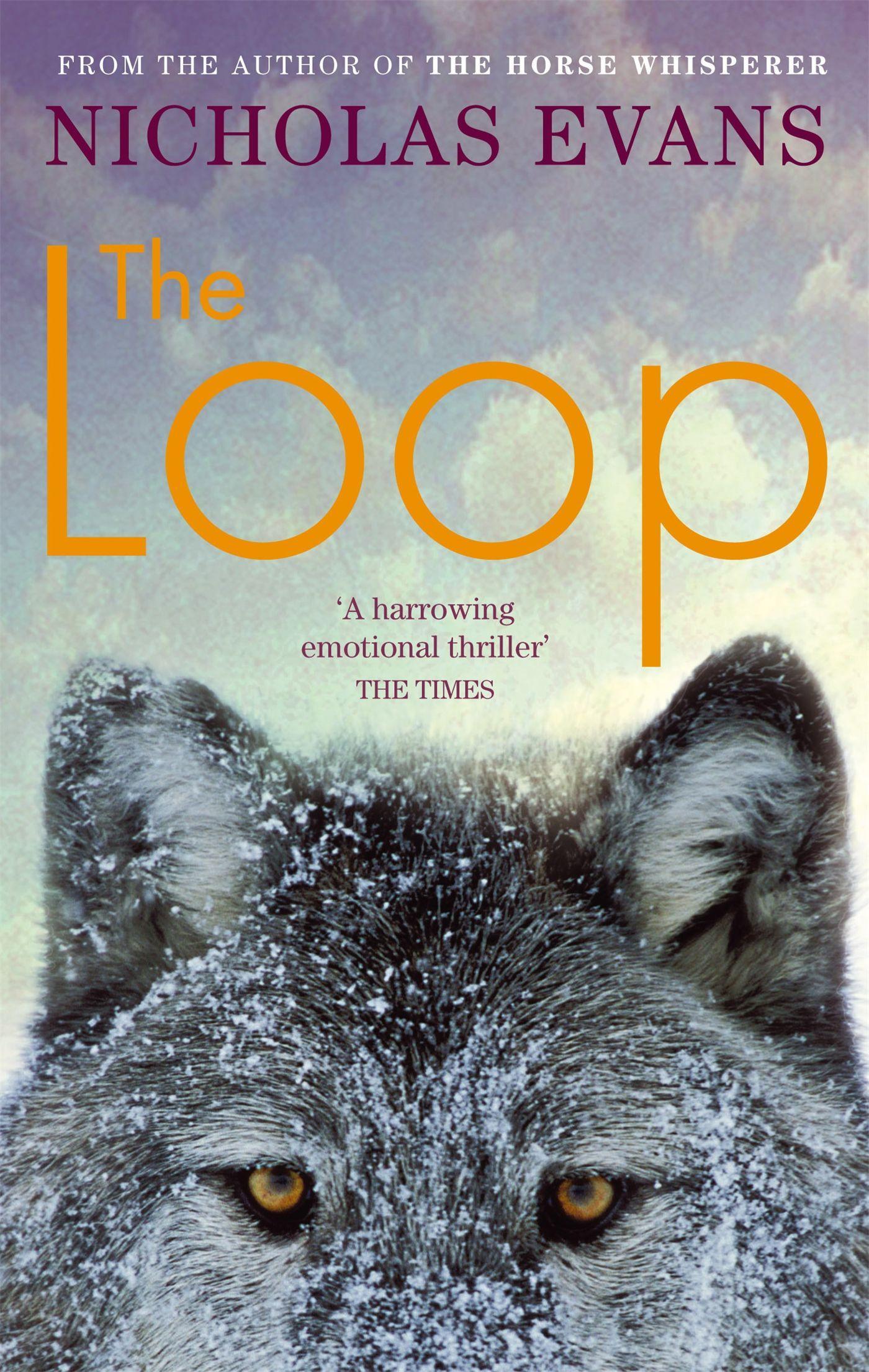 Vorderes Coverbild The Loop