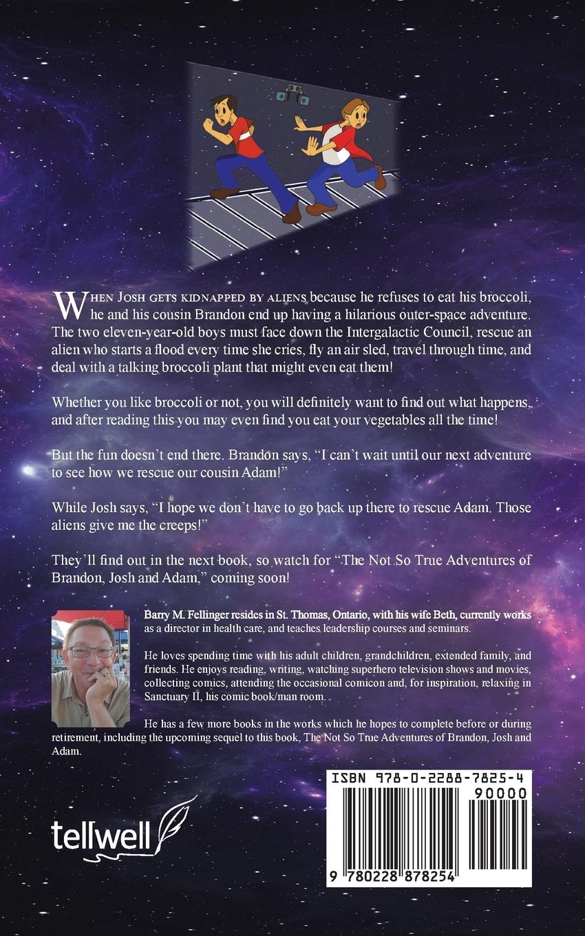 Rückseitencover The Almost True Adventures of Brandon and Josh