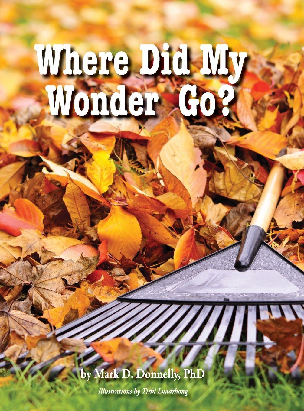 Vorderes Coverbild Where Did My Wonder Go?