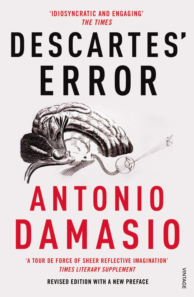 Vorderes Coverbild Descartes' Error