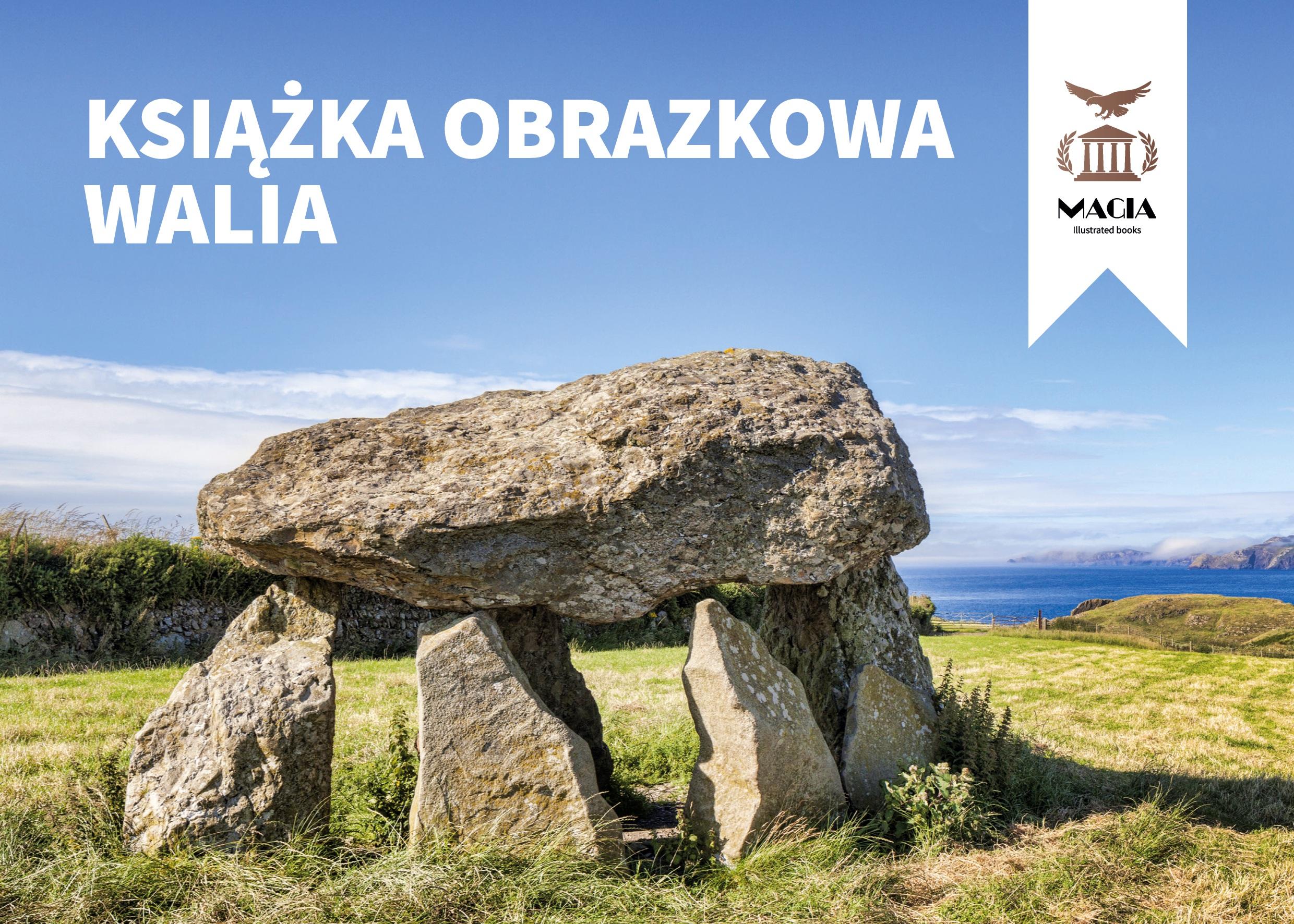 Vorderes Coverbild Ksi¿¿ka obrazkowa Walia