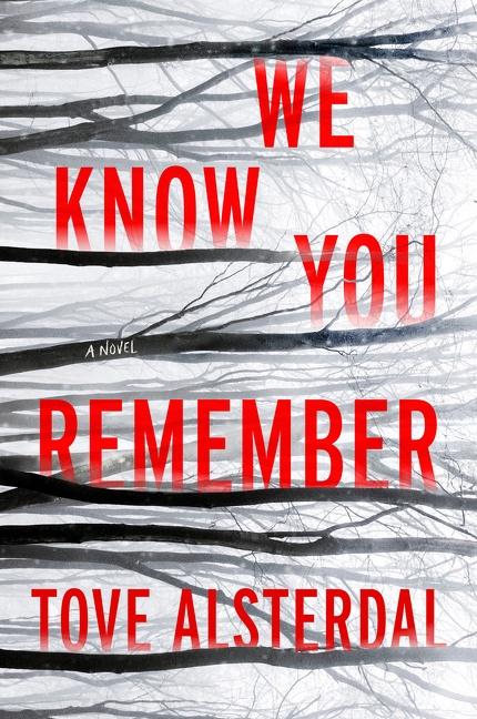 Vorderes Coverbild We Know You Remember