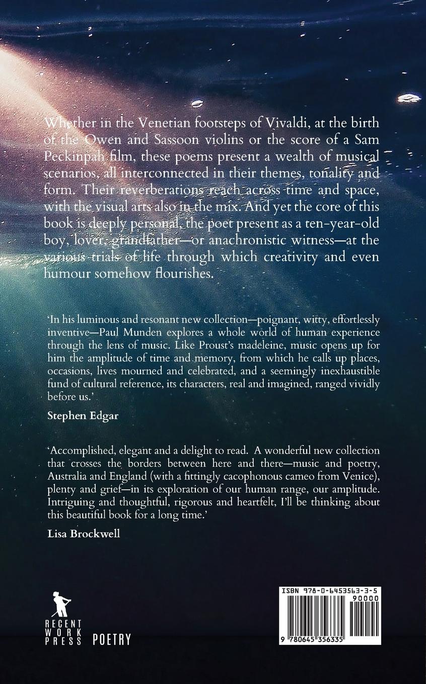 Rückseitencover Amplitude