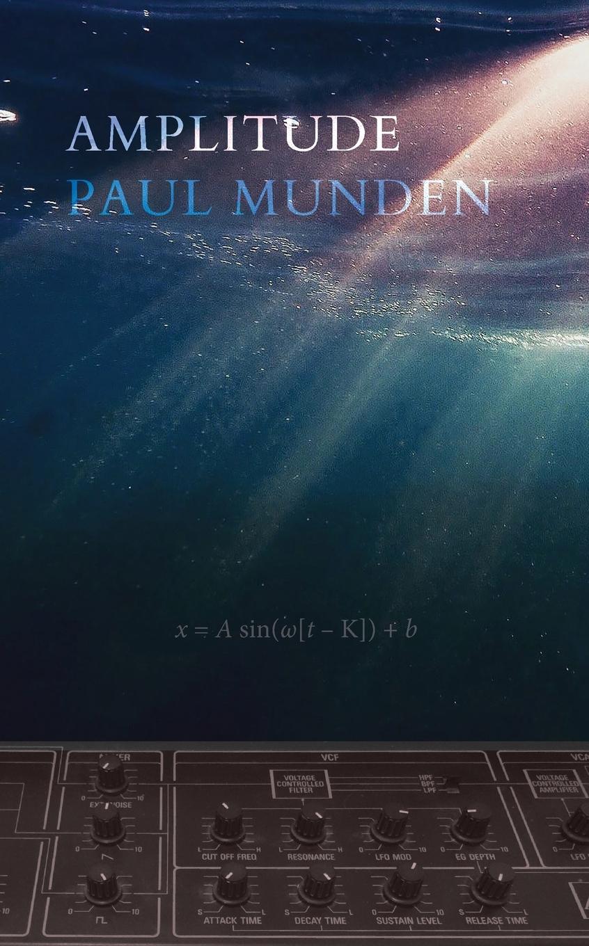 Vorderes Coverbild Amplitude