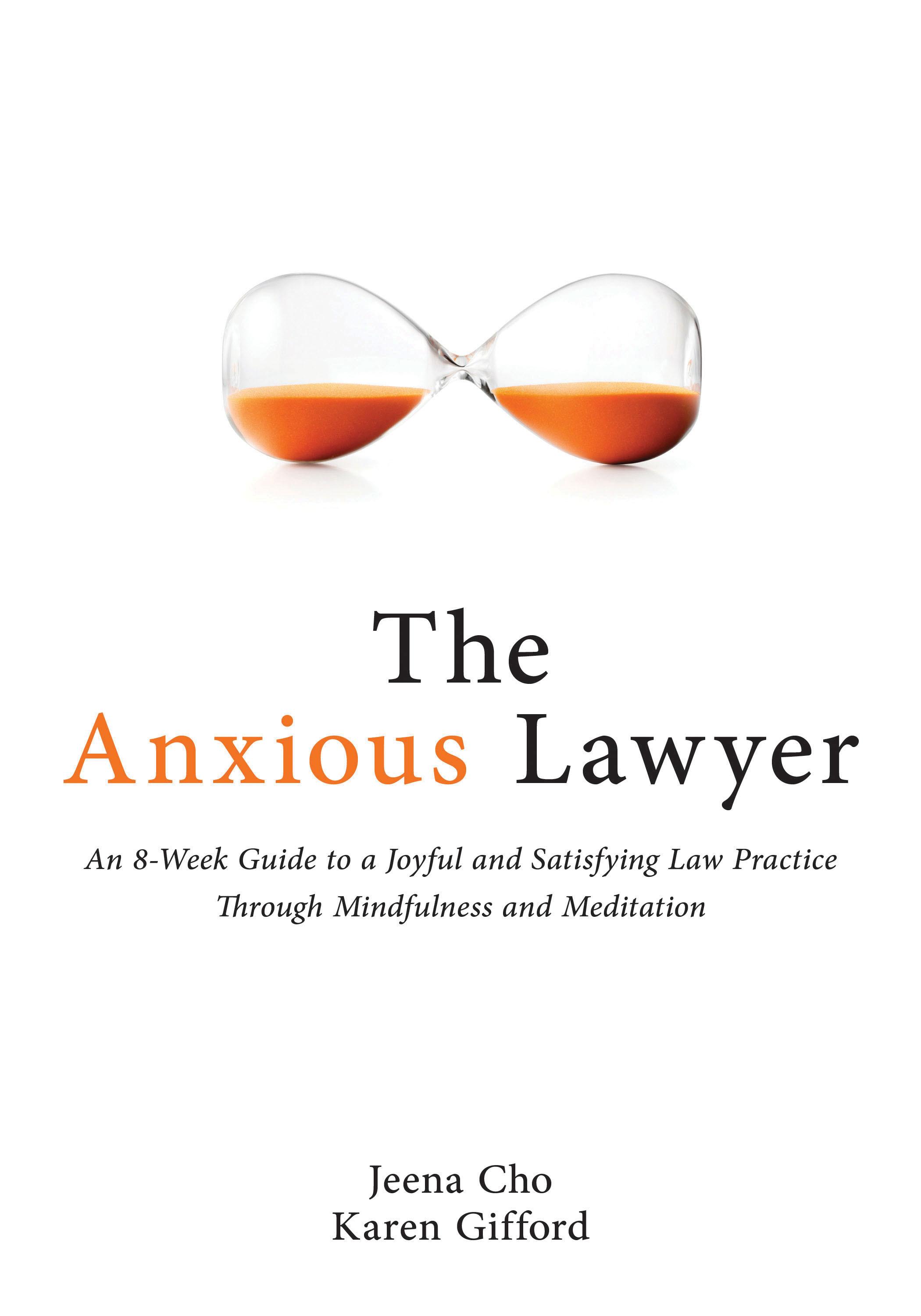Vorderes Coverbild Anxious Lawyer