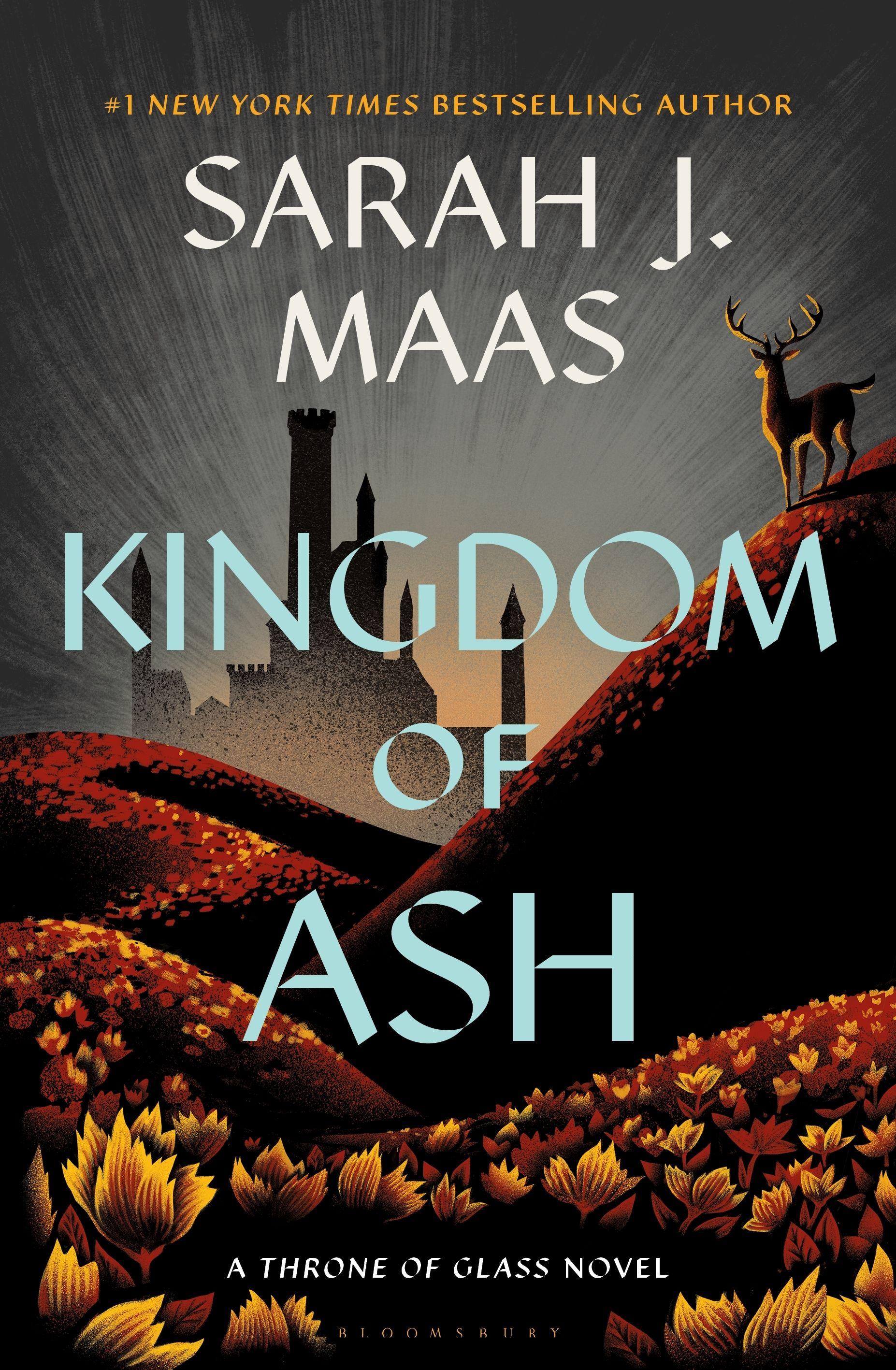 Vorderes Coverbild Kingdom of Ash