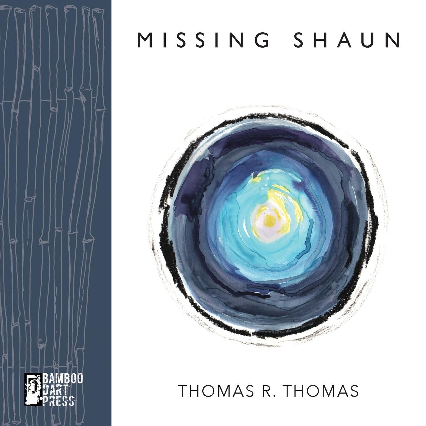 Vorderes Coverbild Missing Shaun