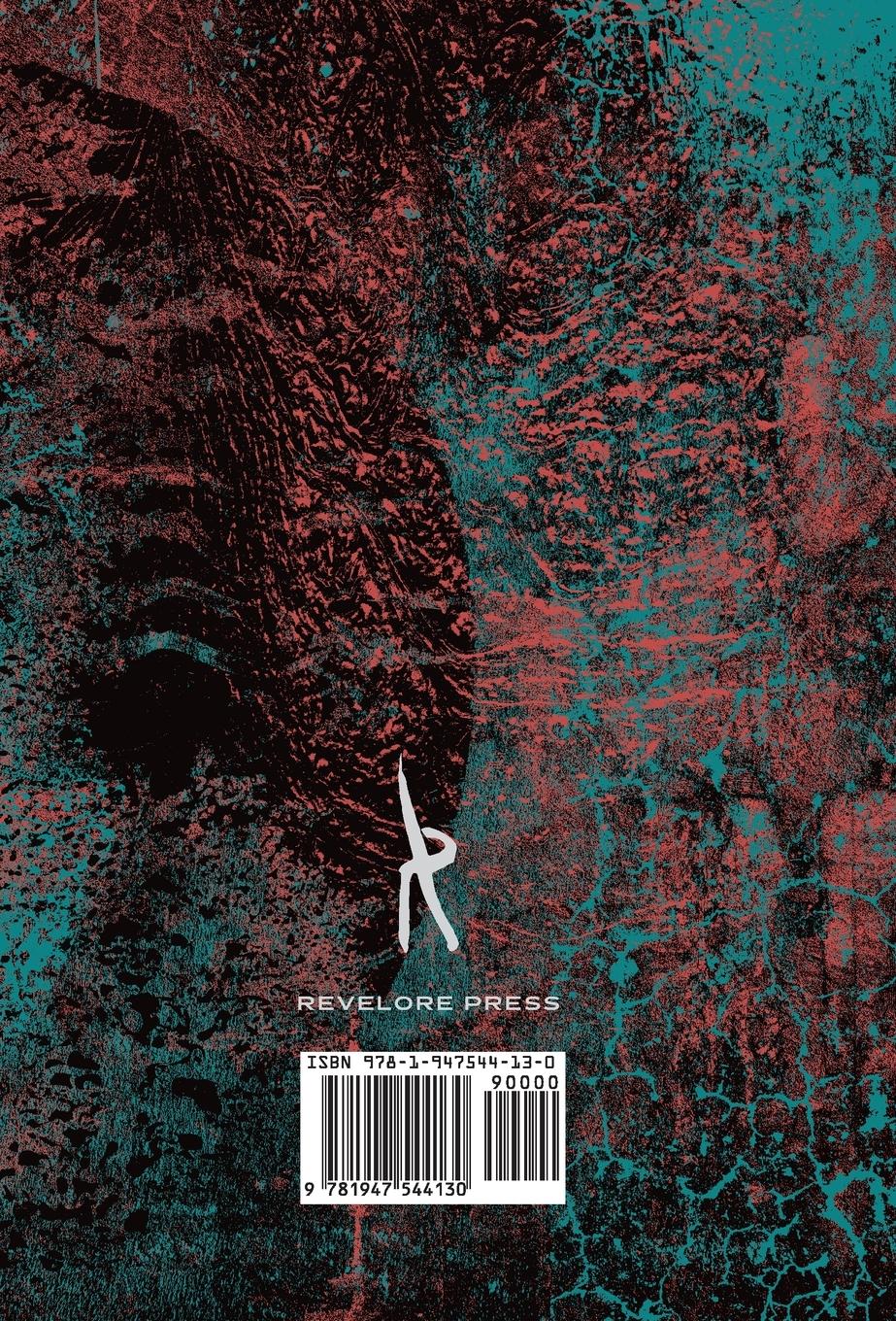 Rückseitencover The Mirror of Stones